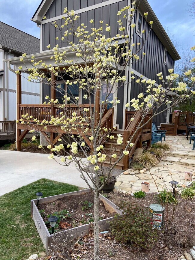 Building Photo - 2 Bed/2.5 Bath Home for Rent in Weaverville, NC