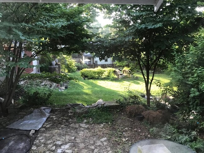 Back Yard - 1300 Cryer Ave