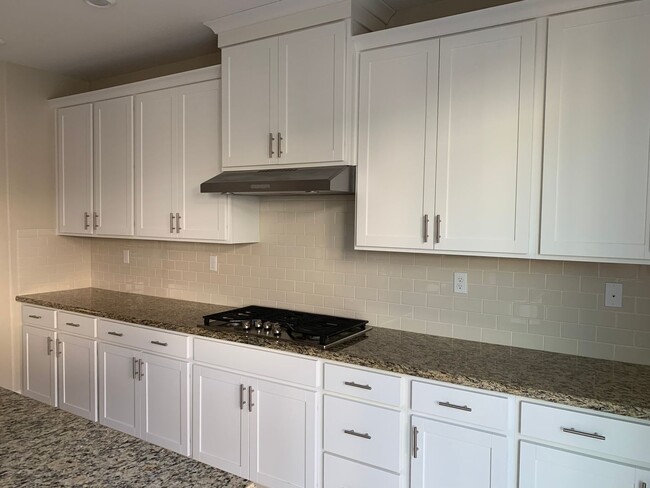 Building Photo - Newer "Next Gen" Home in Springlake/Woodla...