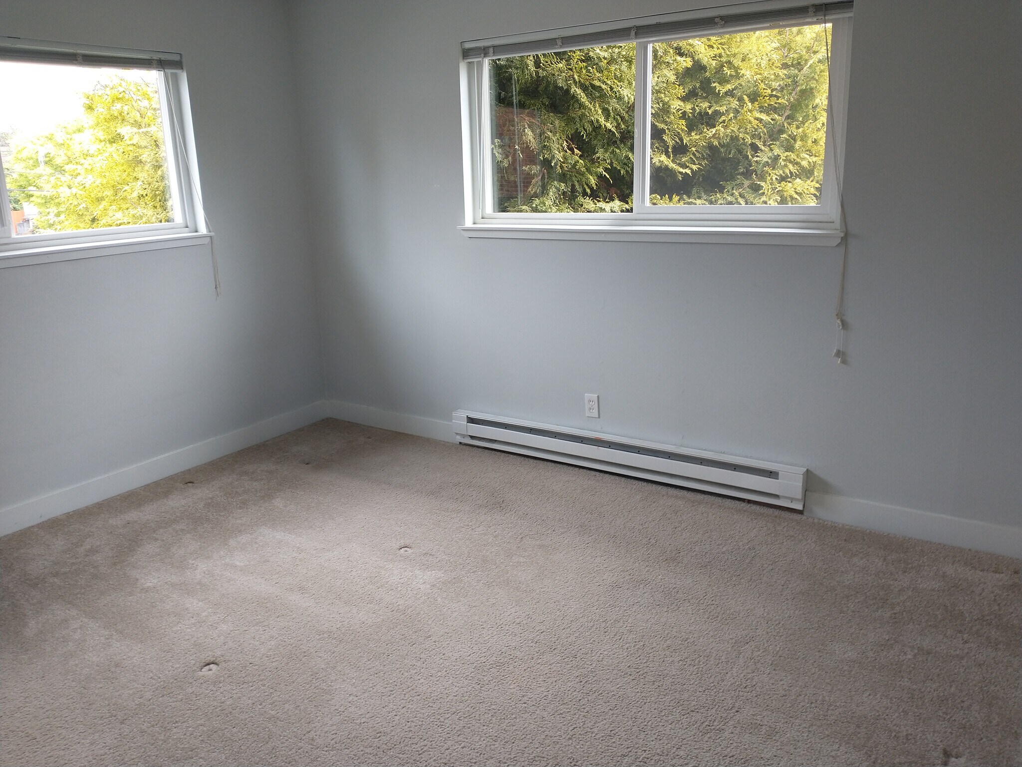 bedroom 1 - 7607 8th Ave NW