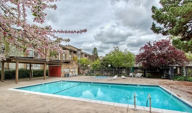Building Photo - Beautiful and very Spacious 1BR 1BA Condo in Mountain View