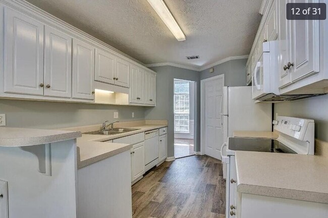 Building Photo - 647 Butler Springs Cir