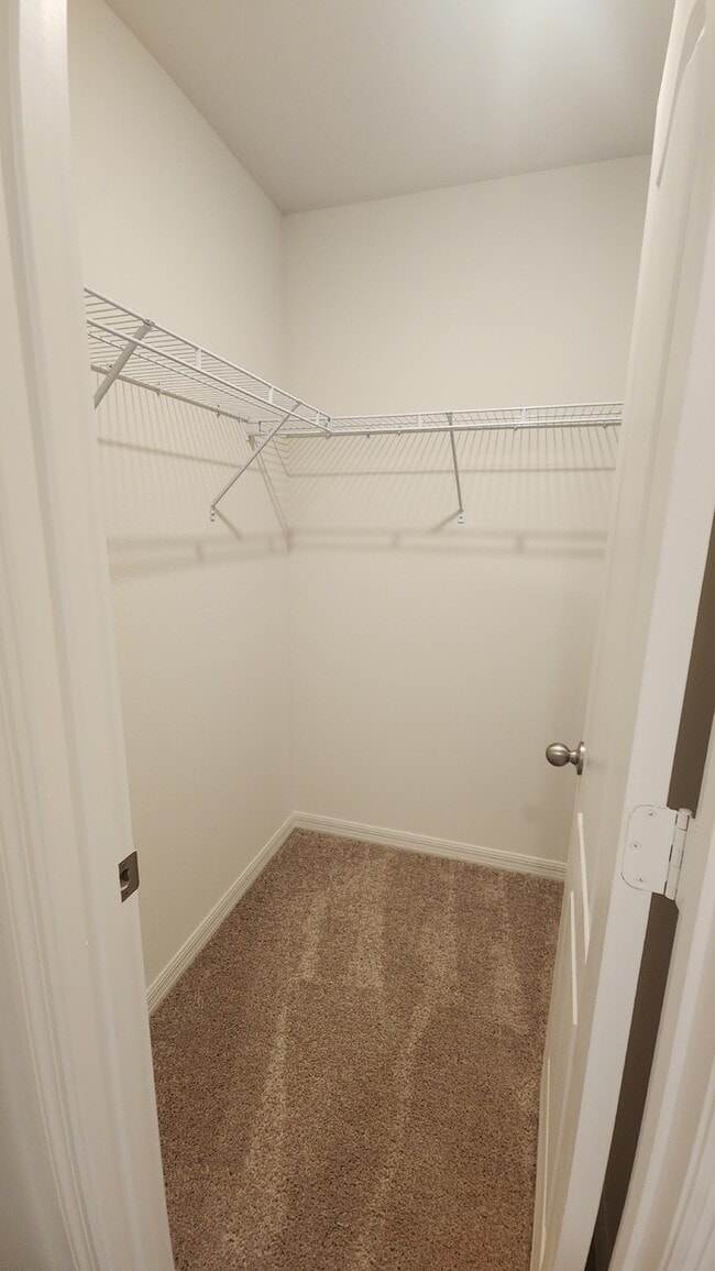 Building Photo - new 3/2 home