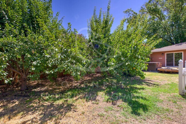Building Photo - Charming Bel Air Estates Home with Modern ...