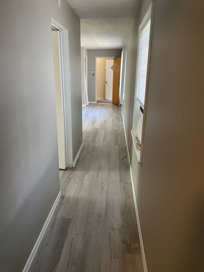 Building Photo - $875 Potter House Apartments: Directly adjacent to BSU and IU Health Ball Memorial Hospital.