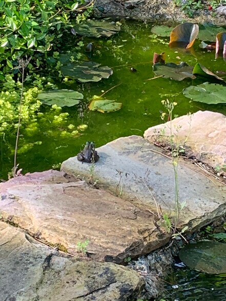 Building Photo - 7788 Pintail Dr