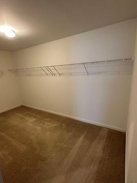 Building Photo - 4122 Radcliff Dr