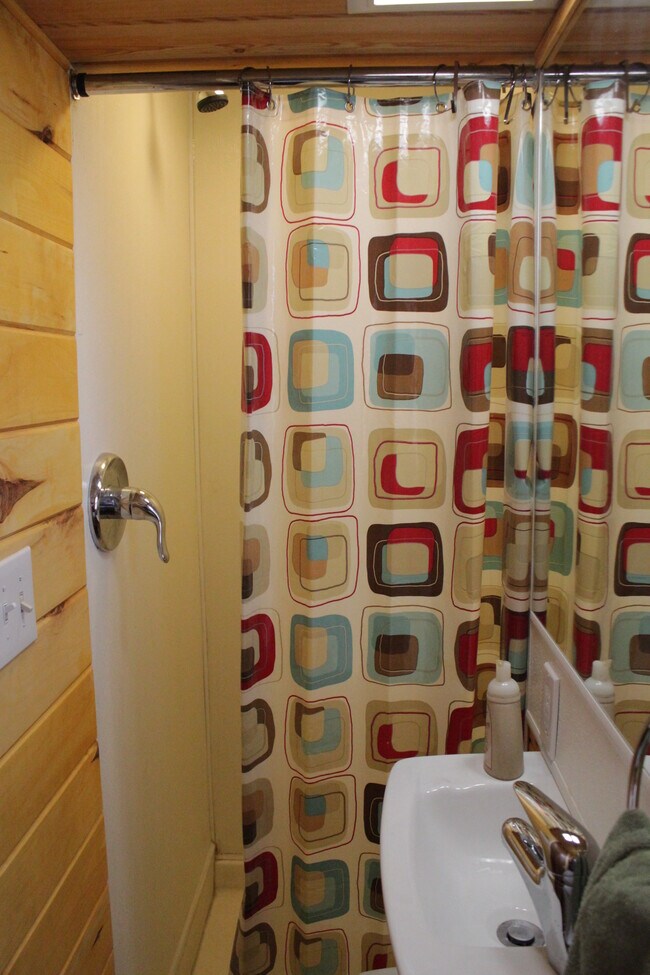 Shower - 419 King Rd E