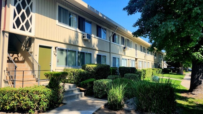 Building Photo - Palms Apartments