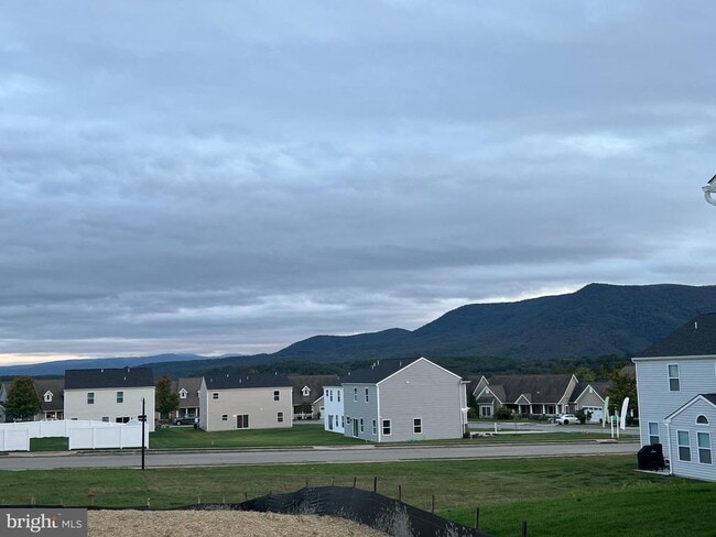 Building Photo - 35 Signal Knob Cottage Dr