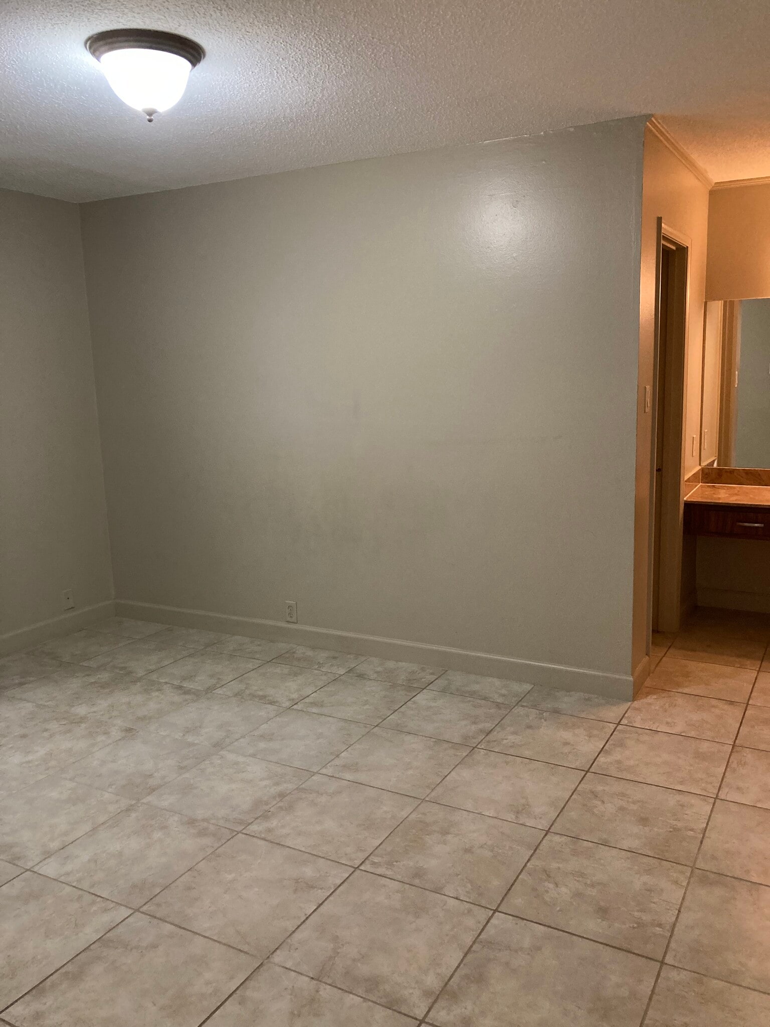 Spacious primary suite with vanity and walk in closet - 3320 N Arnoult Rd