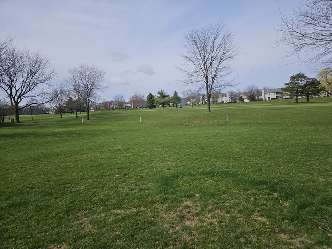 Building Photo - 65 S Golfview Ct