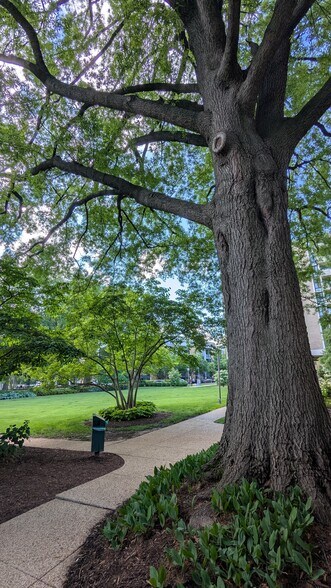 Property features mature trees and year-round greenery maintained by dedicated gardening staff. - 490 M St SW