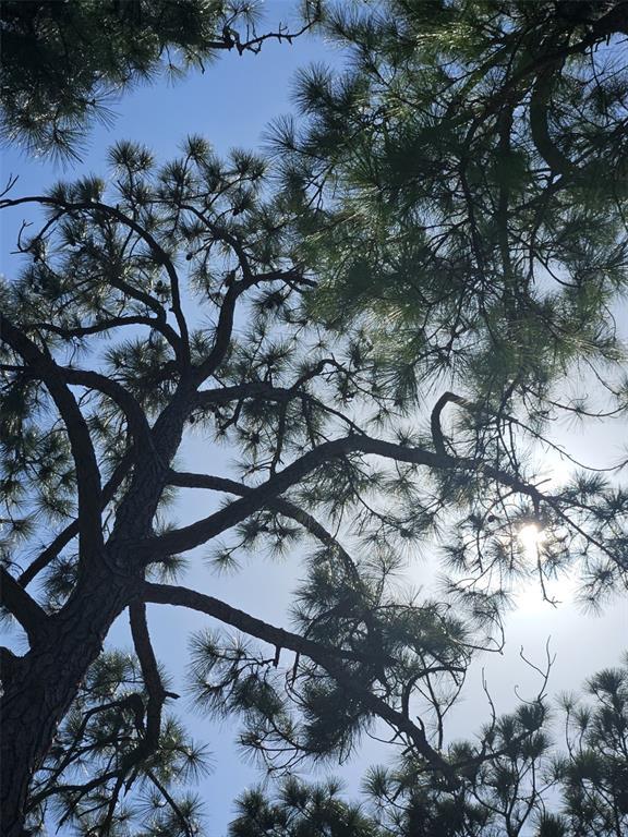 Building Photo - 2700 Bayshore Blvd