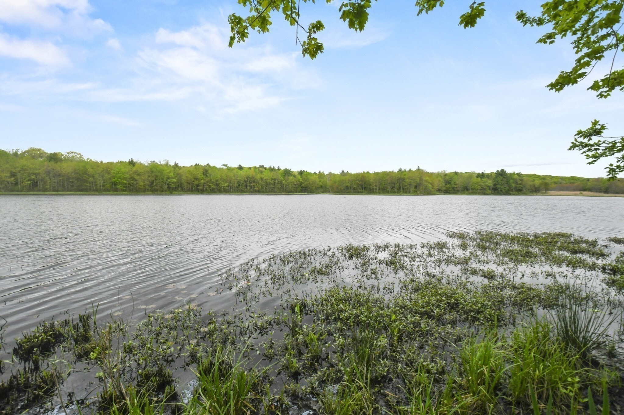 Building Photo - 1 Thayer Pond Dr