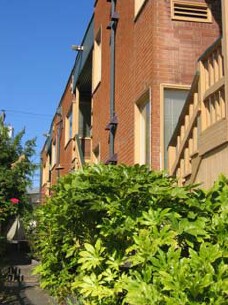 Alternate Building View - Shiraz Apartments