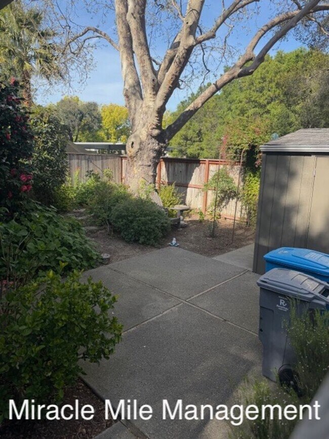 Building Photo - Modern Condo Beautifully Updated