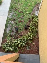 Building Photo - 1108 Coral Club Dr