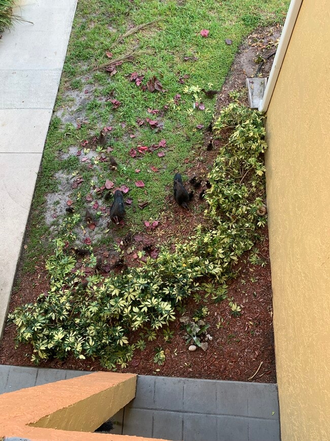 Building Photo - 1108 Coral Club Dr