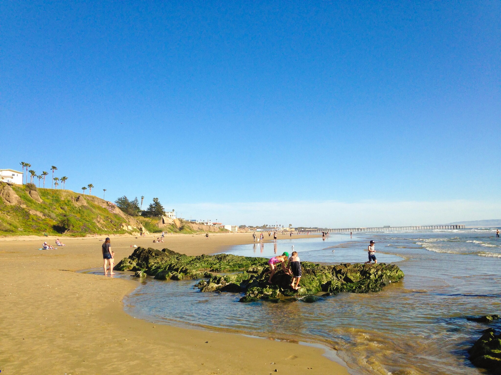 Building Photo - 341 Harbor View Ave