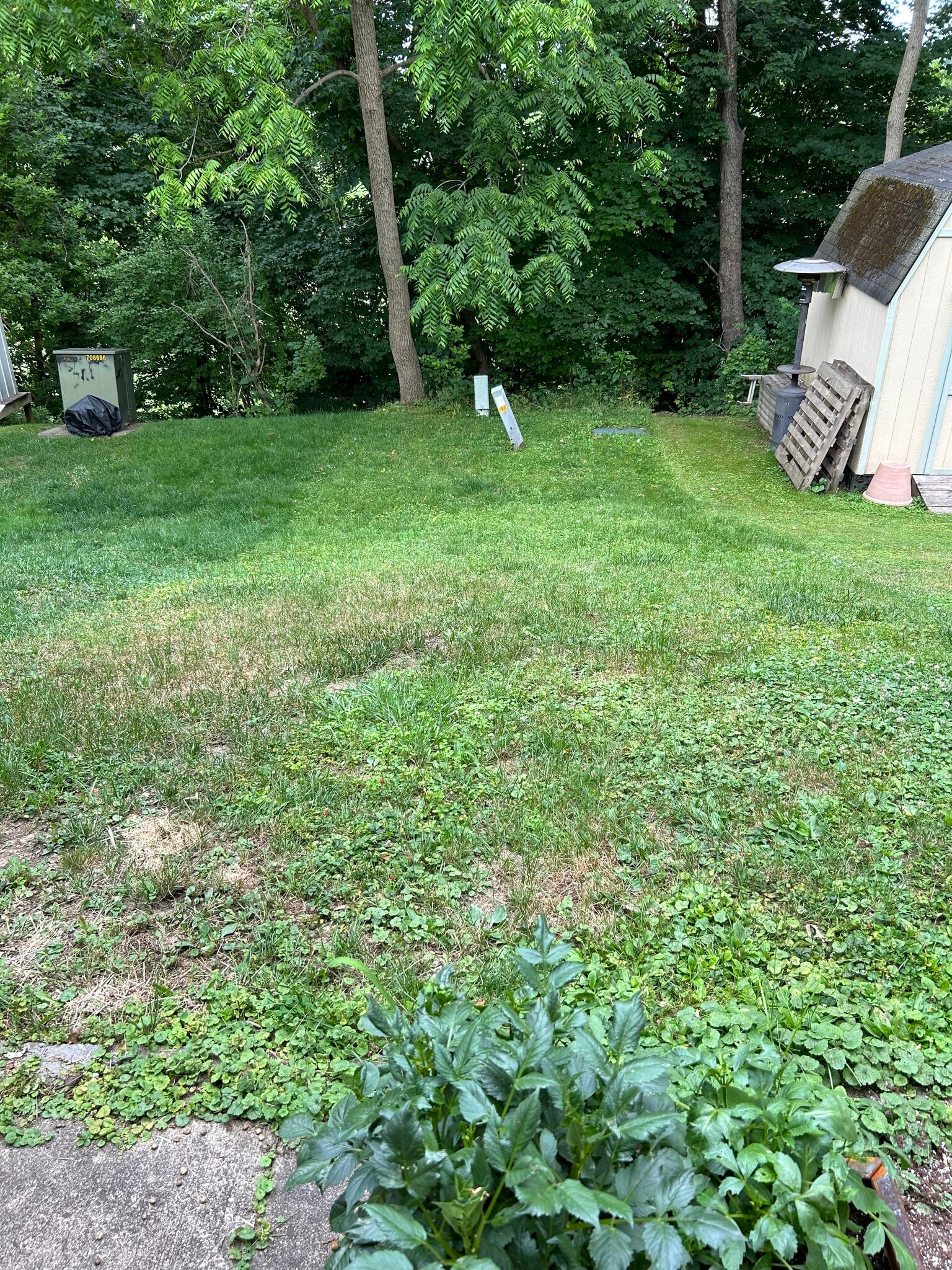 Backyard - 406 Hickory Cir