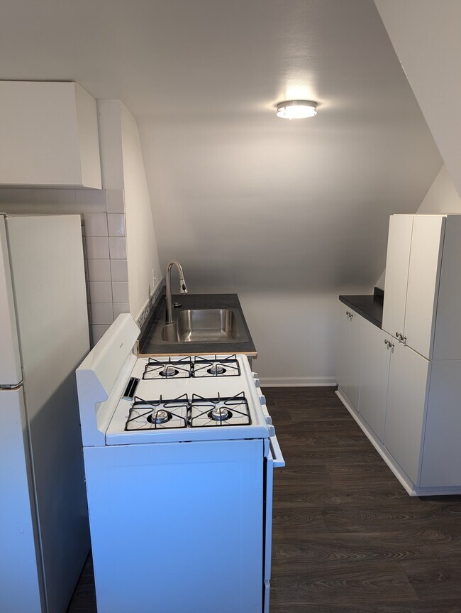 stove and sink area - 1313 Mason St