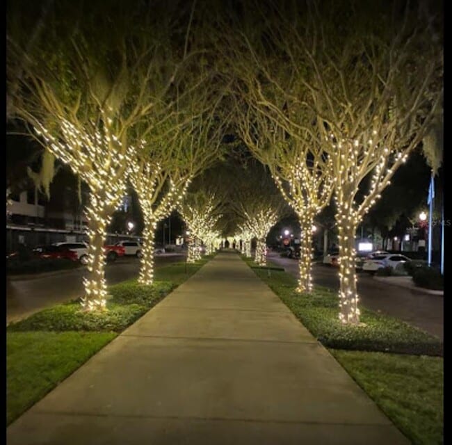 Building Photo - 1301 Eastern Pecan Pl