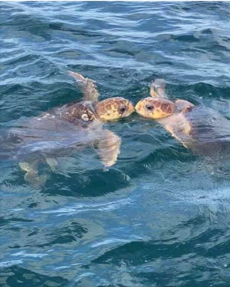 Primary Photo - 4565 S Atlantic Ave