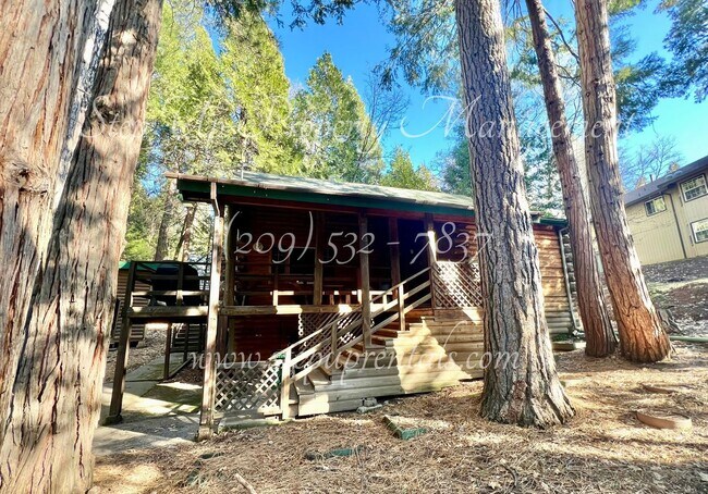 Building Photo - 24201 Martingale Ln