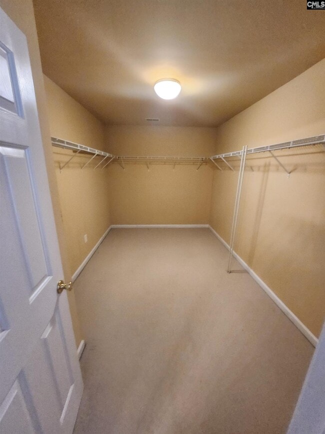 Building Photo - 213 Indigo Springs Dr