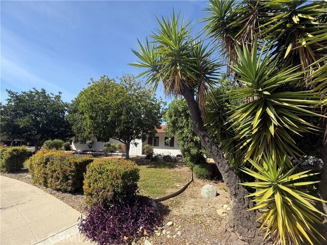 Building Photo - 61 E Orange Grove Ave