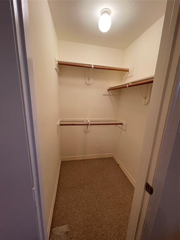 Building Photo - 12414 Timber Hollow