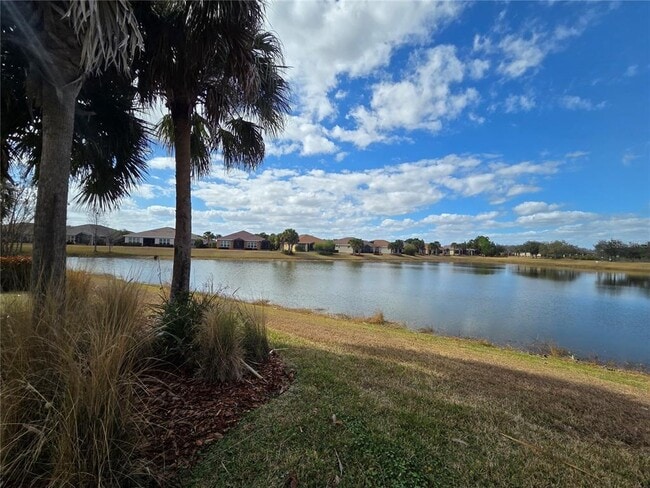 Building Photo - 2435 Palm Tree Dr