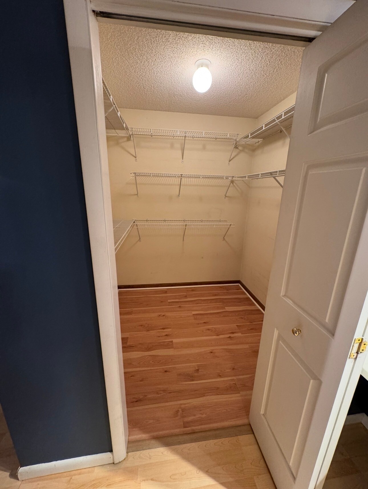 Building Photo - 1307 Greenwich Dr