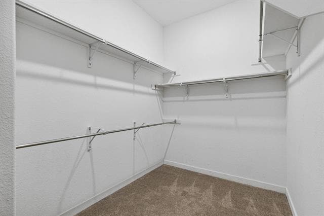 Building Photo - 1305 Swan Trl