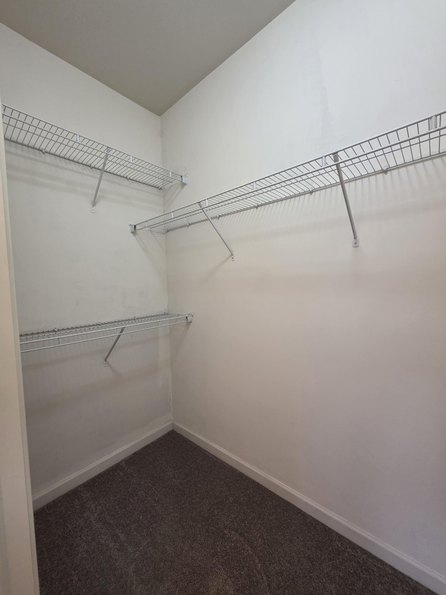 Master Walk-in Closet - 394 Hilton Rd