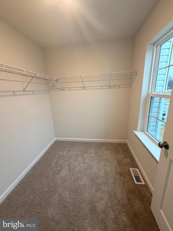 Building Photo - 16 Whaler Dr