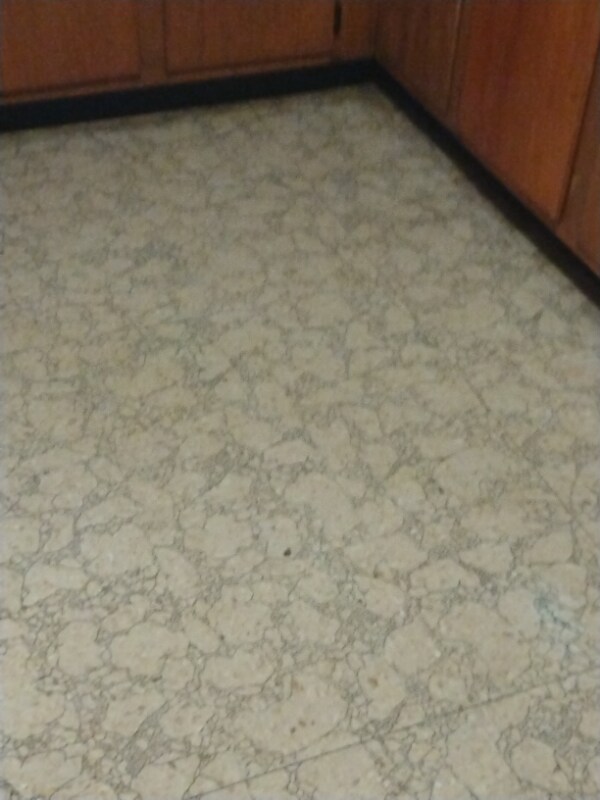 Building Photo - 157 Mertland Ave