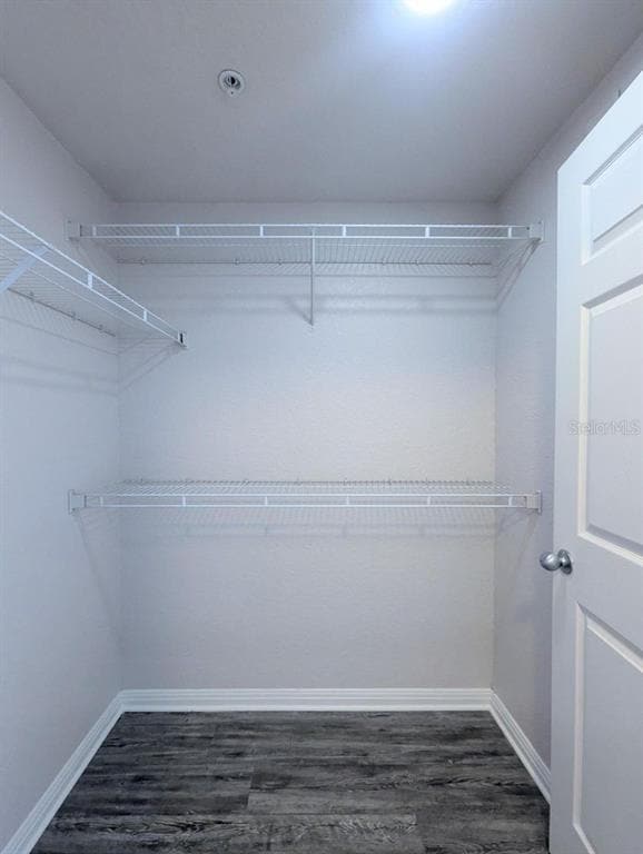 Building Photo - 911 N Orange Ave