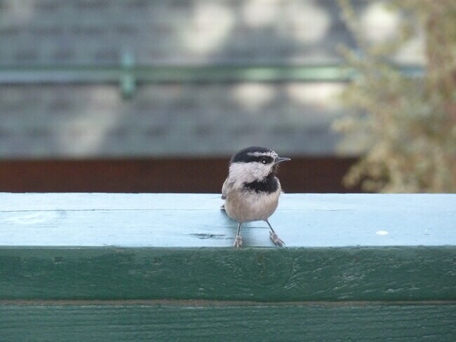 Building Photo - 2012 Symonds Dr