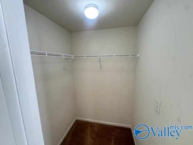 Building Photo - 146 Forestbrook Dr