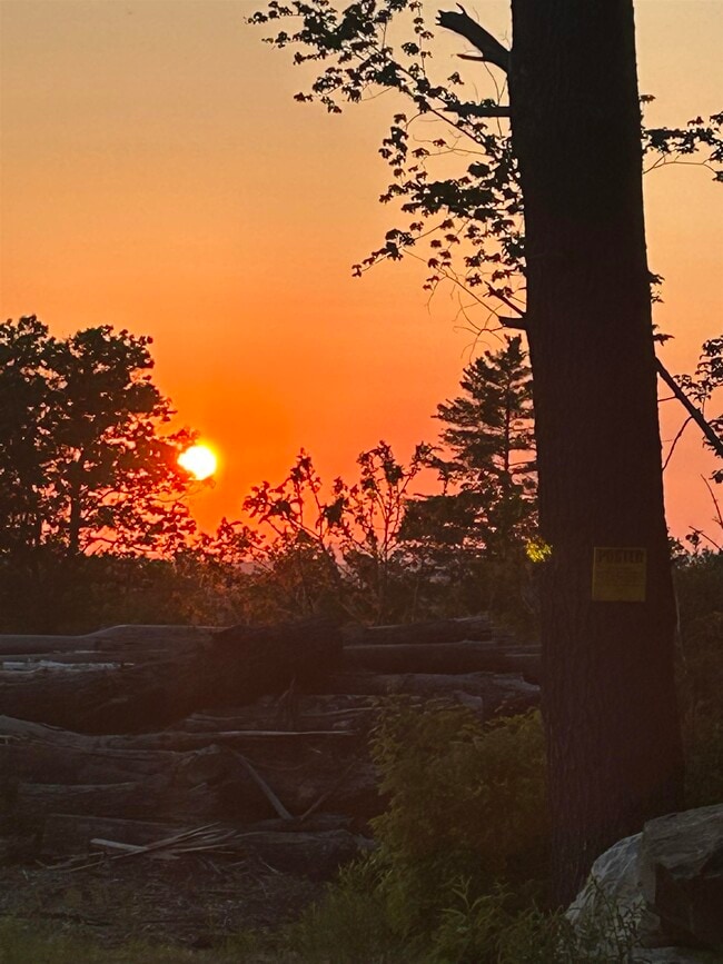 Building Photo - 293 Bear Hill Rd