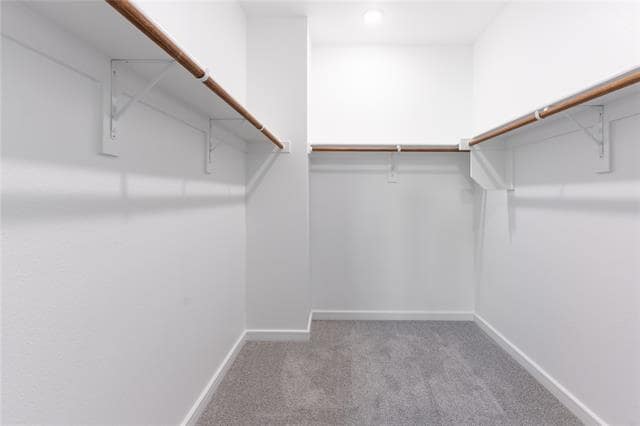 Building Photo - 2212 Cedar Bluff Ln
