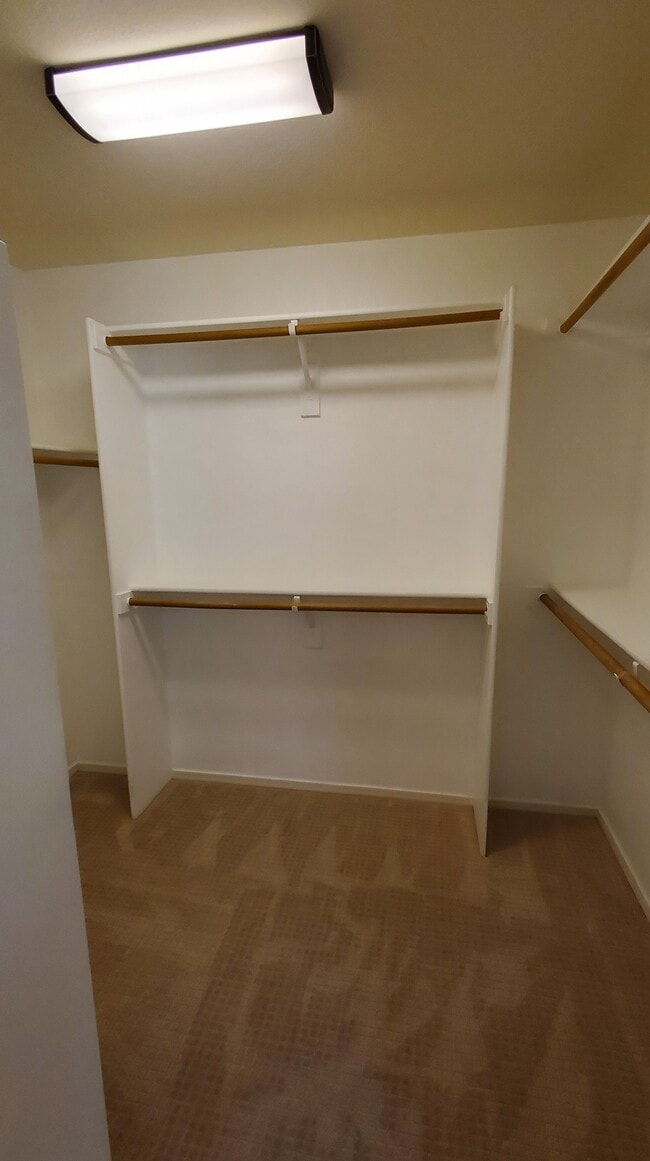 Master Walk-In Closet - 4167 E Sundance Ave