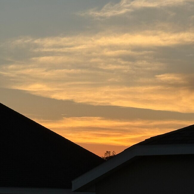 Building Photo - 2914 River Birch Dr