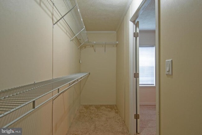 Building Photo - 192 Daffodil Dr