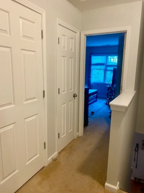 Building Photo - 1018 Mica Lamp Ct