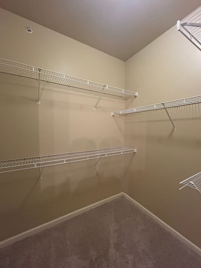 Building Photo - Modern 2-Bedroom, 2-Bath Home