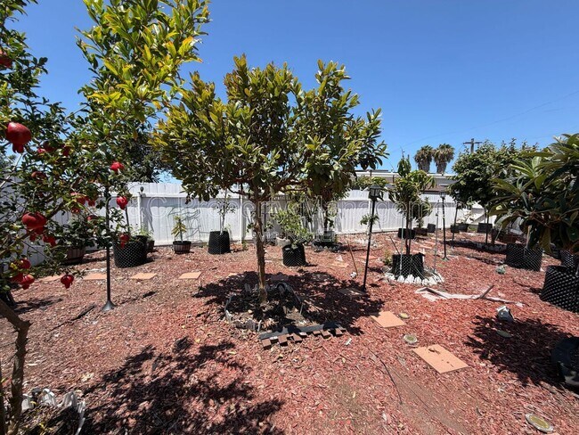 Building Photo - 4981 Dassco Ct