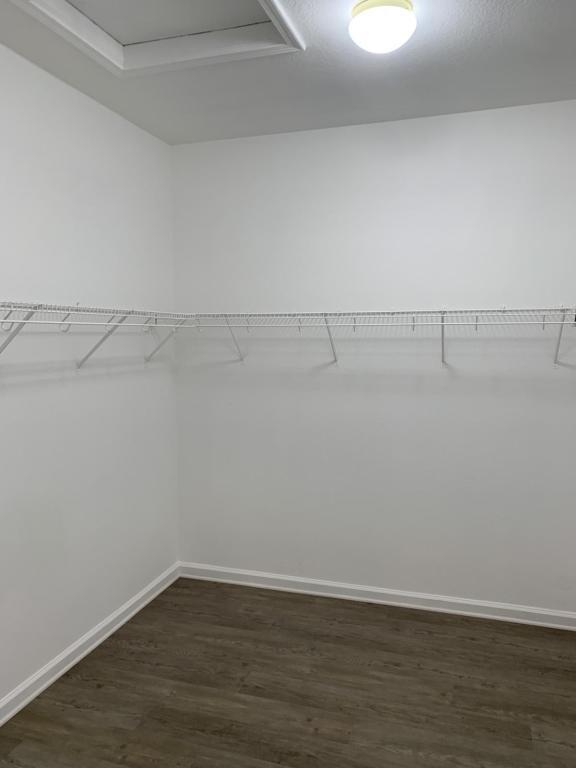 Building Photo - 353 Ellison Pl